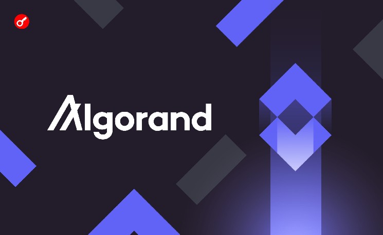 Algorand готовится к квантовой эре: блокчейн объявил масштабное обновление безопасности до 2027 года