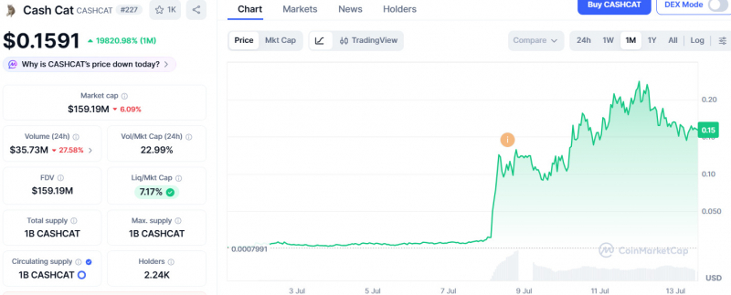 Токен Cash Cat вырос на 4 000% и достиг капитализации $200 млн. Что стало причиной?